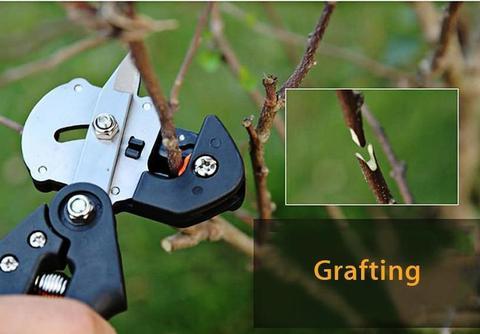 Garden Fruit Tree Pro Pruning Shears Scissor Grafting Cutting Tool 2 Blade Garden Tools Set Pruner Tree Cutting Tool Garden Tools garden garden tools garden trimming blad home pruning tools for grafting